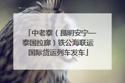 中老泰（昆明安宁—泰国拉廊）铁公海联运国际货运列车发车