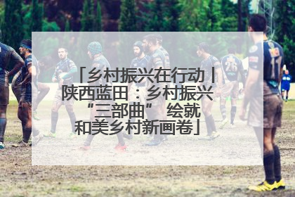 乡村振兴在行动丨陕西蓝田：乡村振兴 “三部曲” 绘就和美乡村新画卷