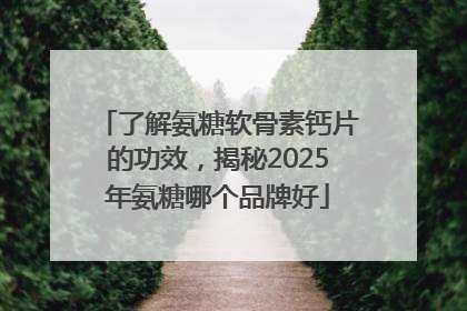 了解氨糖软骨素钙片的功效，揭秘2025年氨糖哪个品牌好