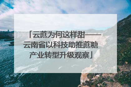 云蔗为何这样甜——云南省以科技助推蔗糖产业转型升级观察