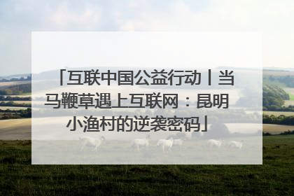互联中国公益行动丨当马鞭草遇上互联网：昆明小渔村的逆袭密码