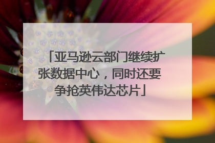 亚马逊云部门继续扩张数据中心，同时还要争抢英伟达芯片