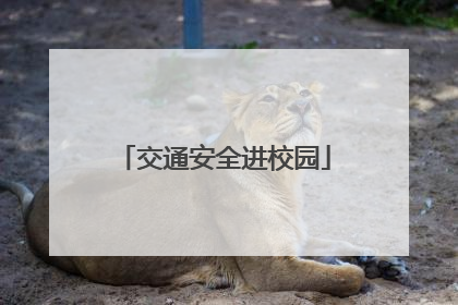 交通安全进校园