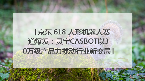 京东 618 人形机器人赛道爆发：灵宝CASBOT以30万级产品力搅动行业新变局