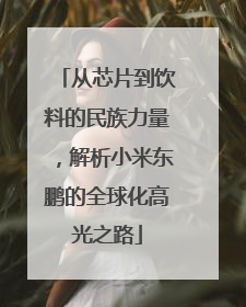从芯片到饮料的民族力量，解析小米东鹏的全球化高光之路