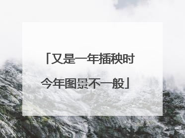 又是一年插秧时 今年图景不一般