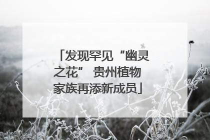 发现罕见“幽灵之花” 贵州植物家族再添新成员
