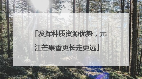 发挥种质资源优势，元江芒果香更长走更远