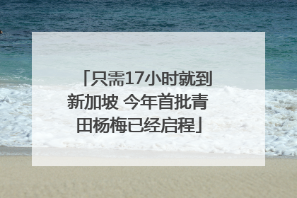 只需17小时就到新加坡 今年首批青田杨梅已经启程