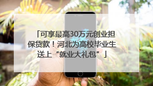 可享最高30万元创业担保贷款！河北为高校毕业生送上“就业大礼包”