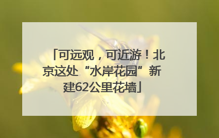 可远观，可近游！北京这处“水岸花园”新建62公里花墙