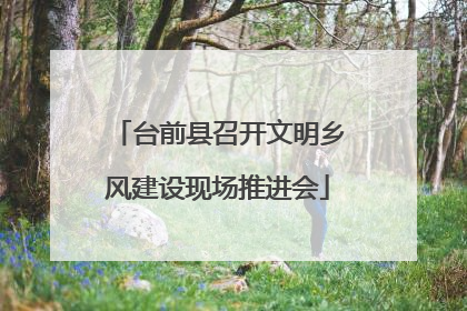 台前县召开文明乡风建设现场推进会