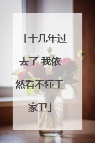 十几年过去了 我依然看不懂王家卫