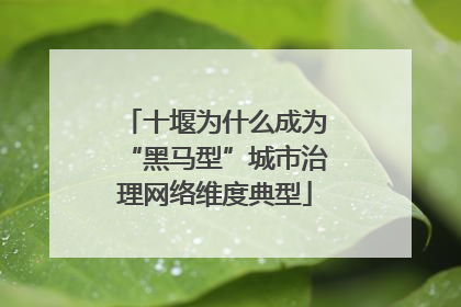 十堰为什么成为“黑马型”城市治理网络维度典型