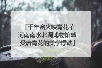 千年窑火映青花 在河南南水北调博物馆感受唐青花的美学悸动