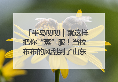 半岛叨叨｜就这样把你“蒸”服！当拉布布的风刮到了山东馒头界……