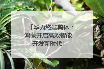 华为终端龚体：鸿蒙开启高效智能开发新时代