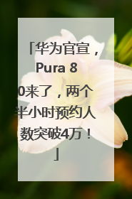华为官宣，Pura 80来了，两个半小时预约人数突破4万！