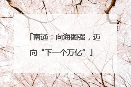 南通：向海图强，迈向“下一个万亿”