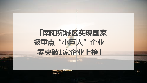 南阳宛城区实现国家级重点“小巨人”企业零突破1家企业上榜