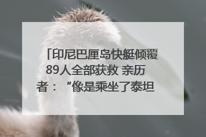 印尼巴厘岛快艇倾覆89人全部获救 亲历者：“像是乘坐了泰坦尼克号”｜封面头条