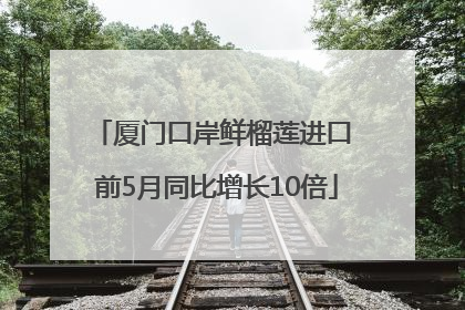 厦门口岸鲜榴莲进口 前5月同比增长10倍