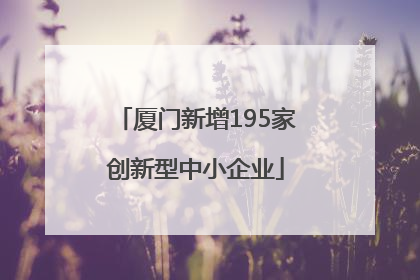 厦门新增195家创新型中小企业