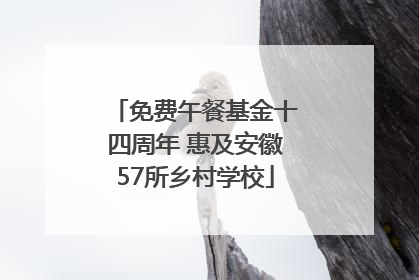 免费午餐基金十四周年 惠及安徽57所乡村学校