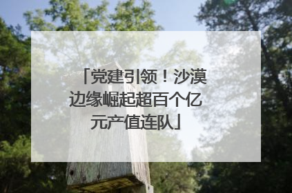 党建引领！沙漠边缘崛起超百个亿元产值连队