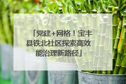 党建+网格！宝丰县铁北社区探索高效能治理新路径
