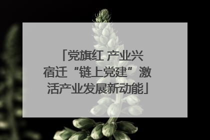 党旗红 产业兴 宿迁“链上党建”激活产业发展新动能
