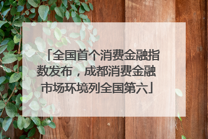 全国首个消费金融指数发布，成都消费金融市场环境列全国第六