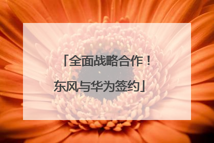 全面战略合作！东风与华为签约