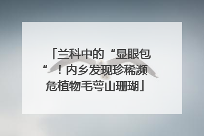 兰科中的“显眼包”！内乡发现珍稀濒危植物毛萼山珊瑚