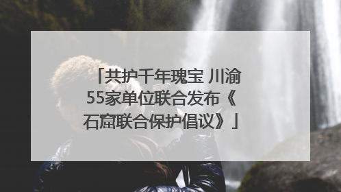 共护千年瑰宝 川渝55家单位联合发布《石窟联合保护倡议》