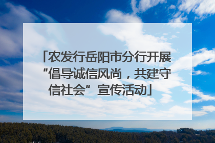 农发行岳阳市分行开展“倡导诚信风尚，共建守信社会”宣传活动