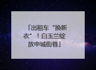 出租车“换新衣”！白玉兰绽放申城街巷