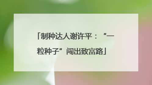 制种达人谢许平：“一粒种子”闯出致富路