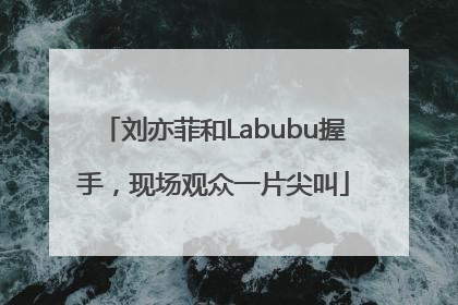刘亦菲和Labubu握手，现场观众一片尖叫