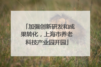 加强创新研发和成果转化，上海市养老科技产业园开园