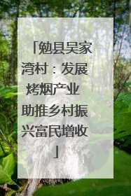 勉县吴家湾村：发展烤烟产业 助推乡村振兴富民增收