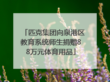 匹克集团向泉港区教育系统师生捐赠88万元体育用品