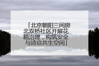 北京朝阳三间房北双桥社区开展花箱治理，构筑安全与诗意共生空间