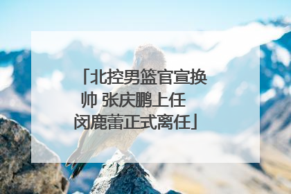 北控男篮官宣换帅 张庆鹏上任 闵鹿蕾正式离任