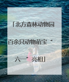 北方森林动物园百余只动物萌宝“六一”亮相