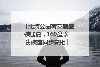 北海公园荷花展盛装迎夏，169盆珍贵碗莲同步亮相