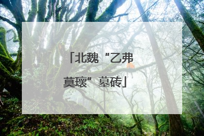 北魏“乙弗莫瓌”墓砖