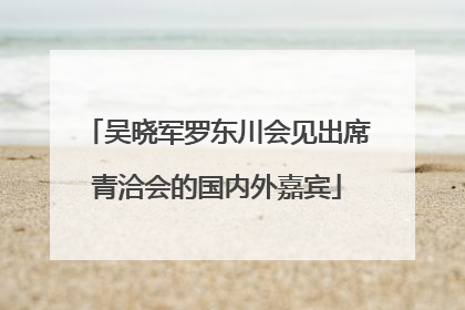 吴晓军罗东川会见出席青洽会的国内外嘉宾