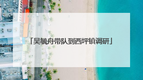 吴毓舟带队到西坪镇调研