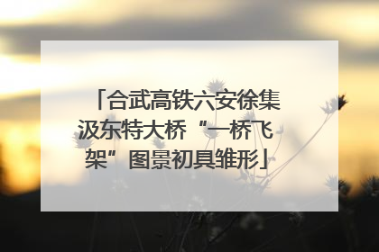 合武高铁六安徐集汲东特大桥“一桥飞架”图景初具雏形